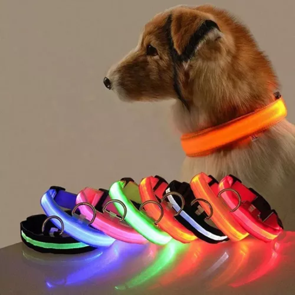 Collar Led Para  Mascotas