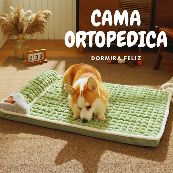 Cama Para Perro Ortopedica 60x40