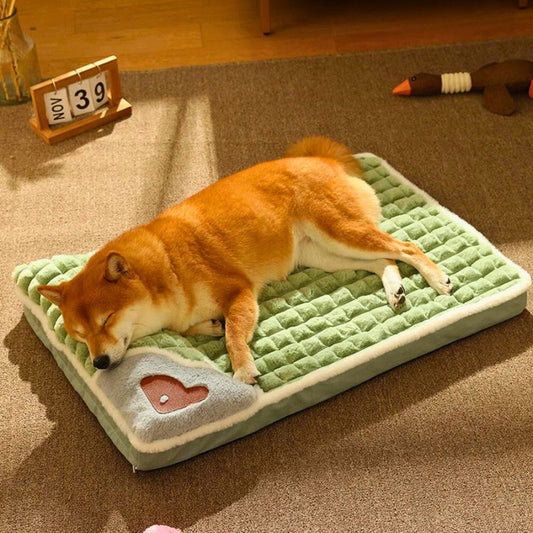 Cama Para Perro Ortopedica 60x40