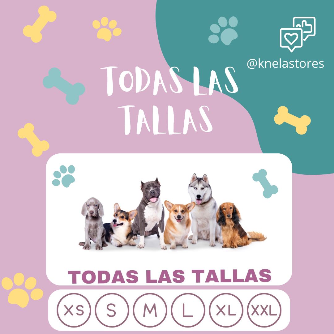 Camas para Perro y Gato Antiestrés